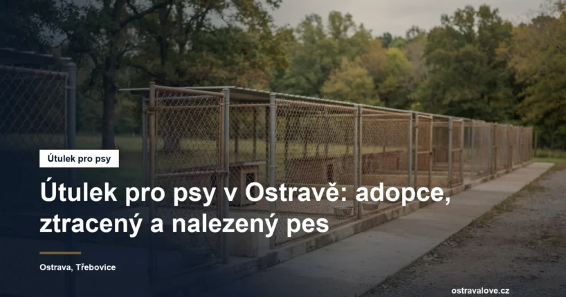Prázdné kotce útulku s otevřenými dvířky a betonovým výběhem