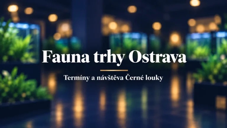 Fauna trhy Ostrava, termíny a návštěva Černé louky: bílý název na rozostřeném akvarijním pozadí