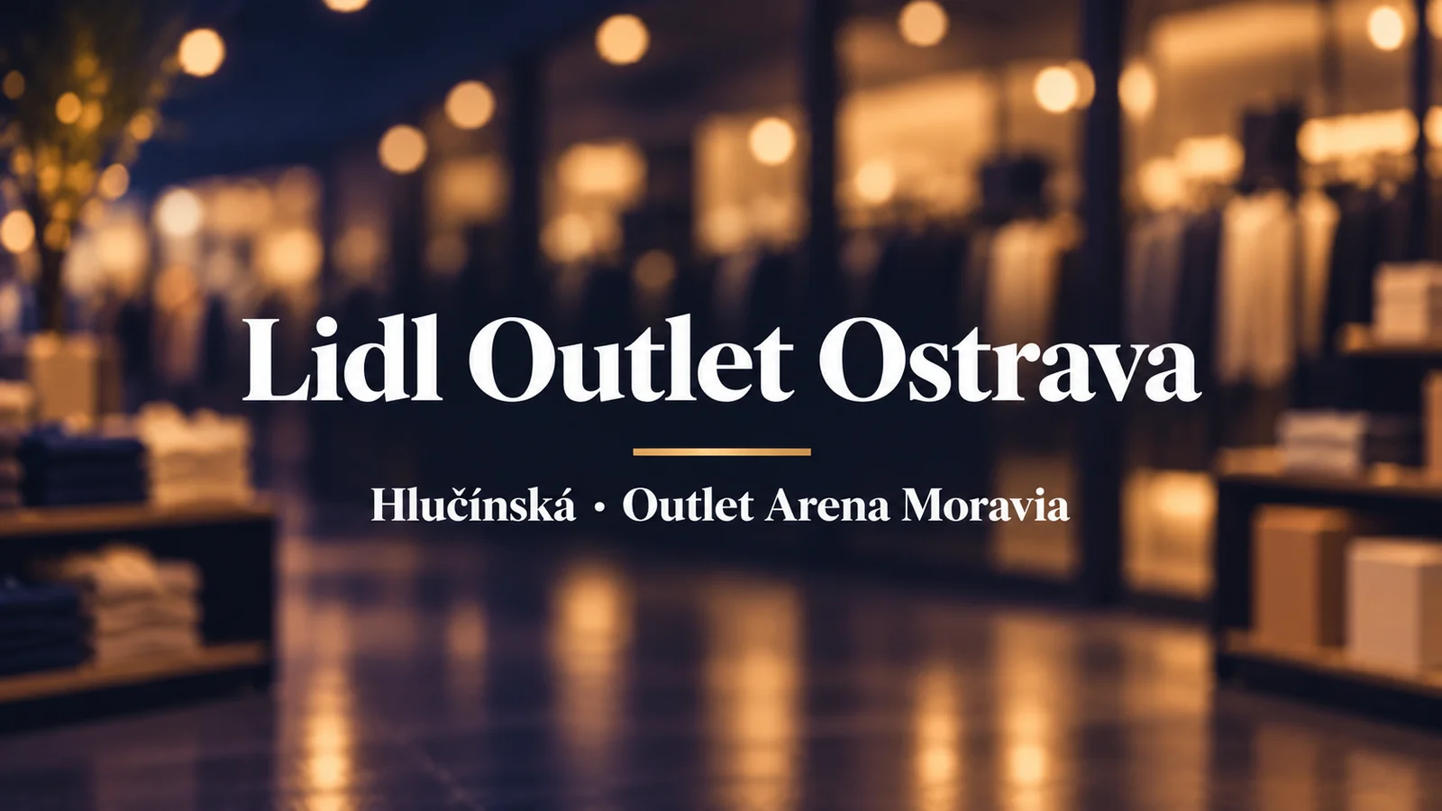 Lidl Outlet Ostrava, Hlučínská, Outlet Arena Moravia: text na rozostřeném nákupním pozadí
