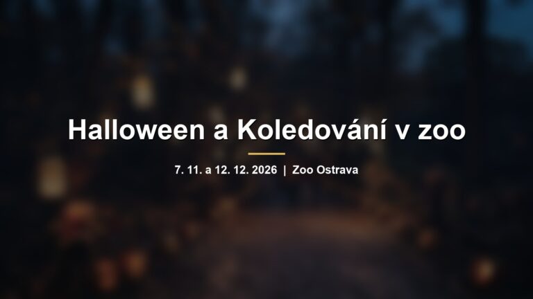 Rozmazaná podzimní cesta v zoo s lampiony a dýněmi a nápisem Halloween a Koledování v zoo